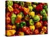 Capsicums at Brixton Market, Brixton, London, England-Neil Setchfield-Stretched Canvas