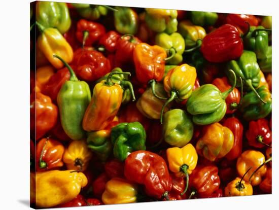 Capsicums at Brixton Market, Brixton, London, England-Neil Setchfield-Stretched Canvas