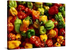 Capsicums at Brixton Market, Brixton, London, England-Neil Setchfield-Stretched Canvas