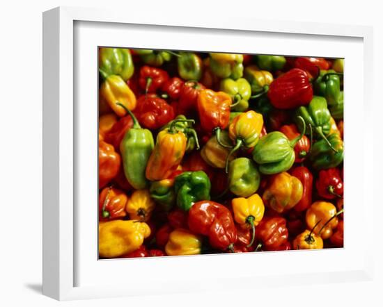 Capsicums at Brixton Market, Brixton, London, England-Neil Setchfield-Framed Premium Photographic Print