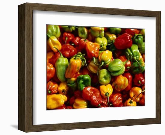 Capsicums at Brixton Market, Brixton, London, England-Neil Setchfield-Framed Photographic Print