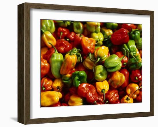 Capsicums at Brixton Market, Brixton, London, England-Neil Setchfield-Framed Photographic Print