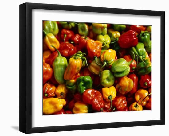 Capsicums at Brixton Market, Brixton, London, England-Neil Setchfield-Framed Photographic Print