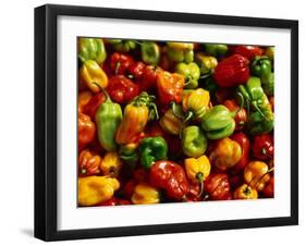 Capsicums at Brixton Market, Brixton, London, England-Neil Setchfield-Framed Photographic Print