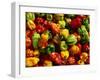 Capsicums at Brixton Market, Brixton, London, England-Neil Setchfield-Framed Photographic Print