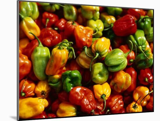 Capsicums at Brixton Market, Brixton, London, England-Neil Setchfield-Mounted Photographic Print