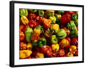 Capsicums at Brixton Market, Brixton, London, England-Neil Setchfield-Framed Photographic Print