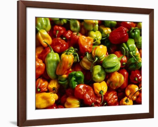 Capsicums at Brixton Market, Brixton, London, England-Neil Setchfield-Framed Photographic Print