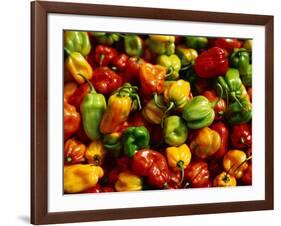 Capsicums at Brixton Market, Brixton, London, England-Neil Setchfield-Framed Photographic Print