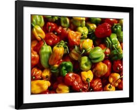 Capsicums at Brixton Market, Brixton, London, England-Neil Setchfield-Framed Photographic Print