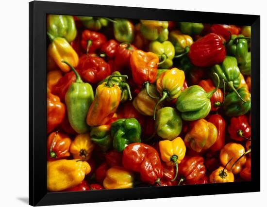 Capsicums at Brixton Market, Brixton, London, England-Neil Setchfield-Framed Photographic Print