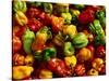 Capsicums at Brixton Market, Brixton, London, England-Neil Setchfield-Stretched Canvas