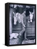 Capt. Oates and Two of the Ponies on the Terra Nova, from Scott's Last Expedition-Herbert Ponting-Framed Stretched Canvas