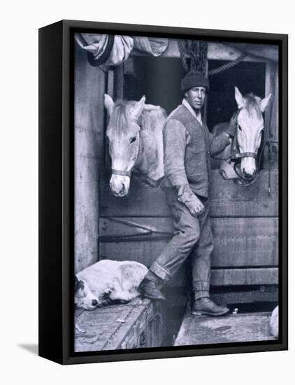 Capt. Oates and Two of the Ponies on the Terra Nova, from Scott's Last Expedition-Herbert Ponting-Framed Stretched Canvas