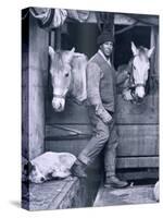 Capt. Oates and Two of the Ponies on the Terra Nova, from Scott's Last Expedition-Herbert Ponting-Stretched Canvas