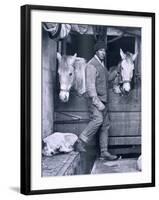 Capt. Oates and Two of the Ponies on the Terra Nova, from Scott's Last Expedition-Herbert Ponting-Framed Photographic Print