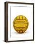 Captain Archer's Water Polo Ball, Prop from 'Star Trek: Enterprise', C.2001-null-Framed Photographic Print