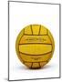 Captain Archer's Water Polo Ball, Prop from 'Star Trek: Enterprise', C.2001-null-Mounted Photographic Print