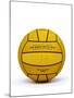 Captain Archer's Water Polo Ball, Prop from 'Star Trek: Enterprise', C.2001-null-Mounted Photographic Print