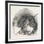 Captain Austin's Arctic Expedition: Going Out to Dinner-null-Framed Giclee Print