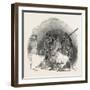 Captain Austin's Arctic Expedition: Going Out to Dinner-null-Framed Giclee Print