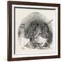 Captain Austin's Arctic Expedition: Going Out to Dinner-null-Framed Giclee Print