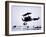 Captain Baron Von Richthofen Landing His Fokker Triplane-German photographer-Framed Giclee Print