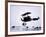 Captain Baron Von Richthofen Landing His Fokker Triplane-German photographer-Framed Giclee Print