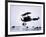 Captain Baron Von Richthofen Landing His Fokker Triplane-German photographer-Framed Giclee Print