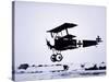 Captain Baron Von Richthofen Landing His Fokker Triplane-German photographer-Stretched Canvas