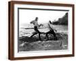 Brown Frame
