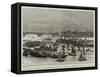 Captain Boyton's Company's First Appearance in London-null-Framed Stretched Canvas