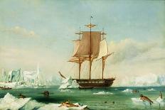 World Winds in Navigation-Captain Charles Wilkes-Stretched Canvas