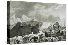 Captain Cook's Men Shooting Sea Horses-John Webber-Stretched Canvas