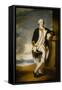 Captain Hugh Palliser (1723-1796), C.1775 (Oil on Canvas)-George Dance-Framed Stretched Canvas
