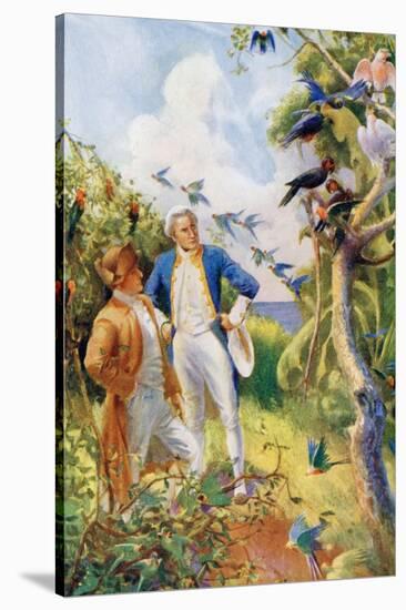 Captain James Cook and Botanist Joseph Banks Examining the Wild Life and Flora in Botany Bay-null-Stretched Canvas