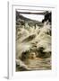 Captain Matthew Webb Survives Niagara Falls-null-Framed Photographic Print