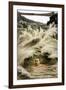 Captain Matthew Webb Survives Niagara Falls-null-Framed Photographic Print