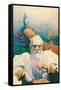 Captain Nemo-Newell Convers Wyeth-Framed Stretched Canvas