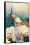 Captain Nemo-Newell Convers Wyeth-Framed Stretched Canvas