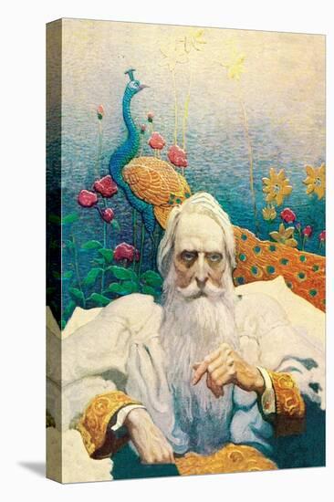 Captain Nemo-Newell Convers Wyeth-Stretched Canvas