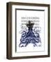 Captain Octopus-Fab Funky-Framed Art Print