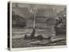 Captain Paul Boyton Exhibiting His Swimming Apparatus in Cork Harbour-null-Stretched Canvas