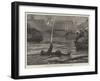 Captain Paul Boyton Exhibiting His Swimming Apparatus in Cork Harbour-null-Framed Giclee Print