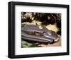 Captain Scarlet and the Mysterons-null-Framed Photo