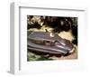 Captain Scarlet and the Mysterons-null-Framed Photo