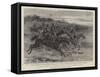 Captain Wilson's Retreat Towards the Shangani River-null-Framed Stretched Canvas