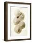 Captiva 2-Glen and Gayle Wans-Framed Giclee Print