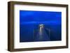 Captiva Dawn, Captiva Island, Florida-Rob Tilley-Framed Photographic Print