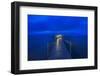 Captiva Dawn, Captiva Island, Florida-Rob Tilley-Framed Photographic Print